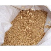 Central States Whole Wheat 50lb