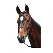Weatherbeeta Kincade Plain Raised Snaffle Bridle Brown Quarter Horse