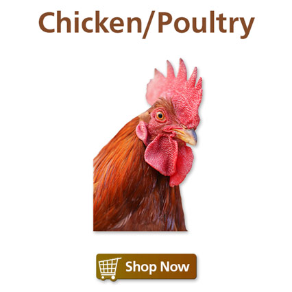 Chicken/Poultry Feed & Supplies