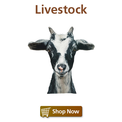 Livestock Feed & Supplies