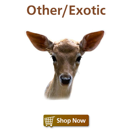 Other/Exotic Animal Food & Supplies
