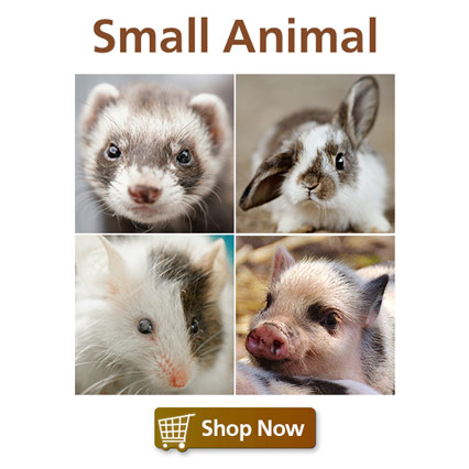 Small Animal Food & Supplies