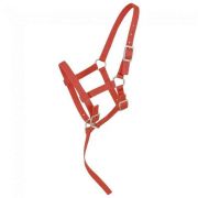 Tough-1 Nylon Adjustable Suckling Foal Halter Red