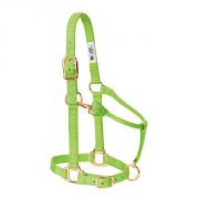 Weaver Original Adjustable Chin and Throat Snap Halter Lime Zest Yearling Horse
