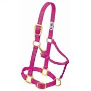 Weaver Original Adjustable Chin and Throat Snap Halter Raspberry Yearling Horse