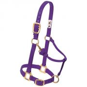 Weaver Original Adjustable Chin and Throat Snap Halter Purple Average Horse
