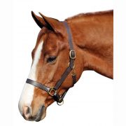 JPC Equestrian Henri de Rivel HDR Advatage Leather Halter Havana Brown