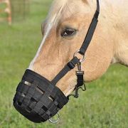 Cashel Nylon Horse Grazing Muzzle Halter