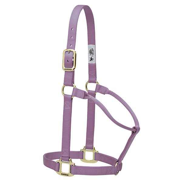 Weaver Original Non Adjustable Nylon Horse Halter Lavender Average ...