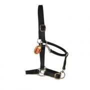 Kuda Saddlery & Tack Biothane 1inch Halters