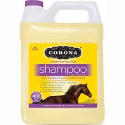 Corona Shampoo Concentrate 3 Liter