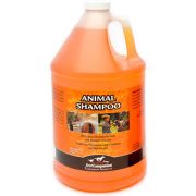 First Companion All Purpose Animal Shampoo 1 Gallon