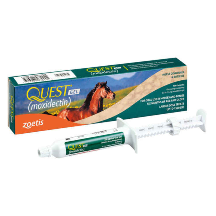 Zoetis Quest Plus Gel Wormer Moxidectin | Sunset Feed & Supply