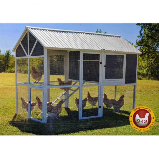 Walk-In Chicken Coop with Nesting Box and Roosting Bar @ Sunset Feed Miami