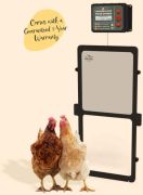 Manna Pro Harris Farms Automatic Chicken Coop Door