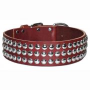 Leather Brothers Latigo Leather Studded Wide Dog Collar