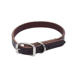 Circle T Latigo Leather Town Dog Collar