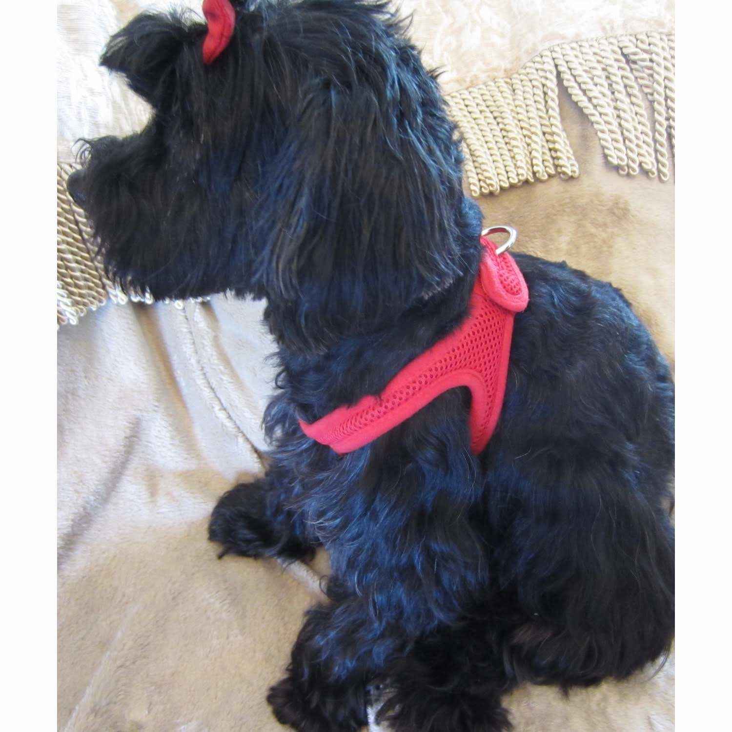 Choke-Free Shoulder Collar Harness