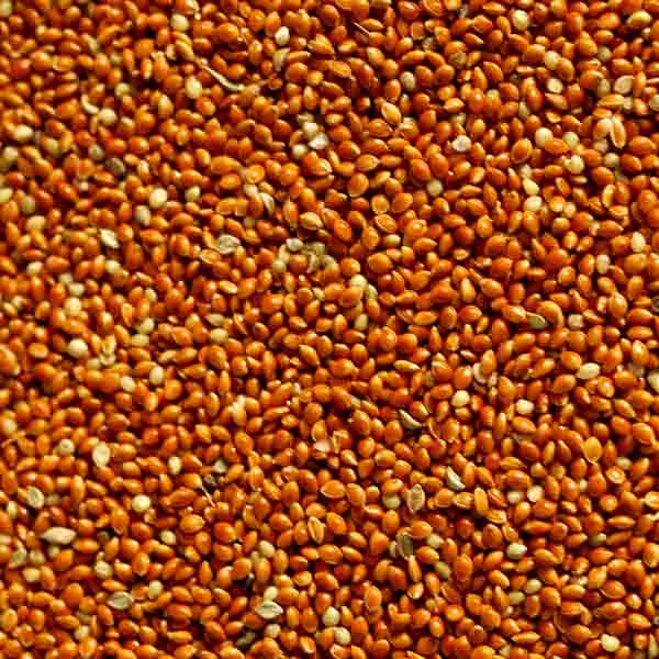 Higgins Red Millet Bird Seed 5lb Sunset Feed & Supply