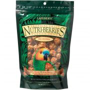 Nutri Berries Tropical Fruit Parrot Seed Food Balls 10oz