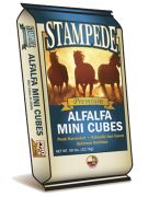 Stampede Alfalfa Mini Hay Cubes 50lbs