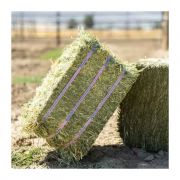Standlee Orchard Grass Compressed Hay Bale 50lb