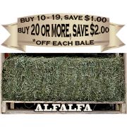 Quality Alfalfa Hay Bale 56lb to 60lb