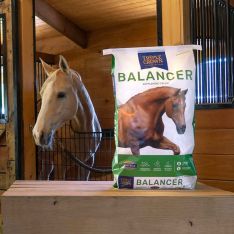 Triple Crown Ration Balancer Pelleted Horse Supplement 50lb