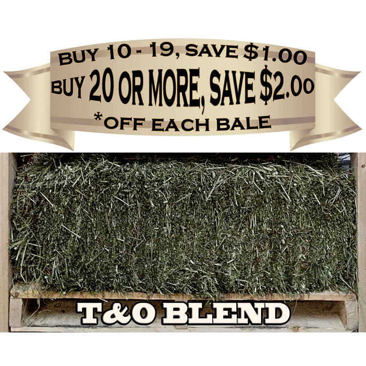 Quality Timothy And Orchard Grass Hay Bale 71lb To 75lb Sunset Feed