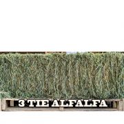 Quality 3 Tie Alfalfa Hay Bale Approx 98lb