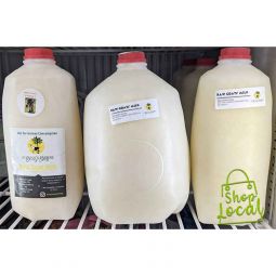 Aiyanas Empire Local Raw Goat Milk - 1 Gallon