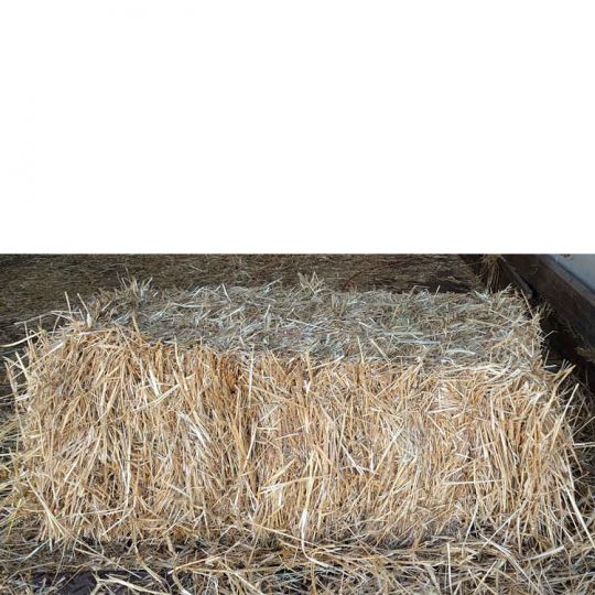 Straw Bales Miami, Decorative Hay Straw Littering Bedding