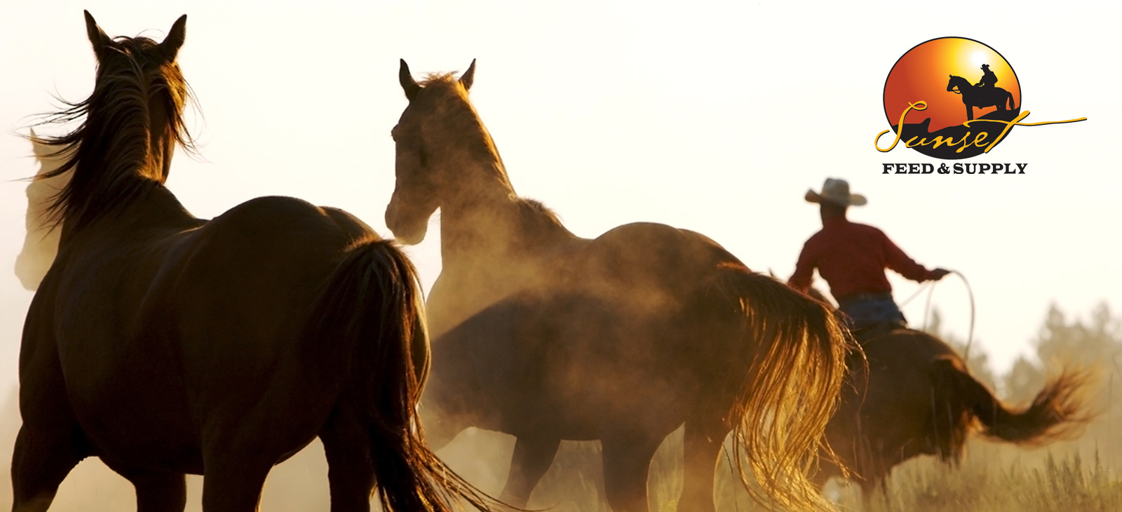 Animal Feed and Supplies, Western Wear, Riding Supplies